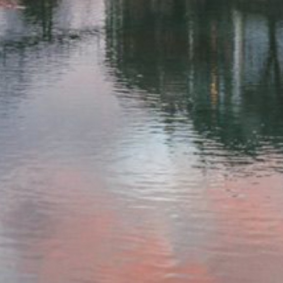 Meet your Posher, Fiona - Picture 1 of 1